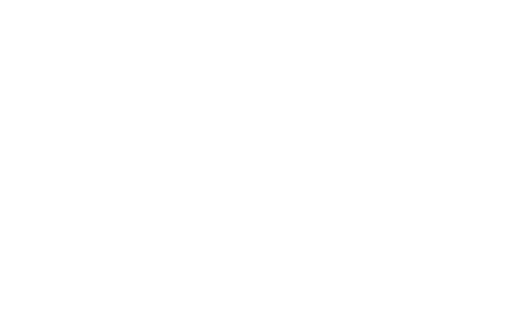 Misty Visuals